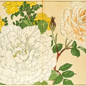 Roses japanese woodblock print Roses japanese woodblock print