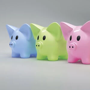 A row of colorful piggy banks