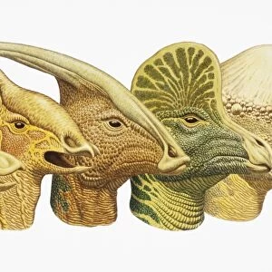 Row of five dinosaur heads