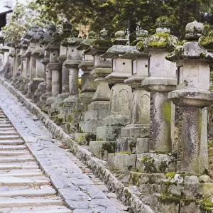 Row of stone lanterns in Nara Park
