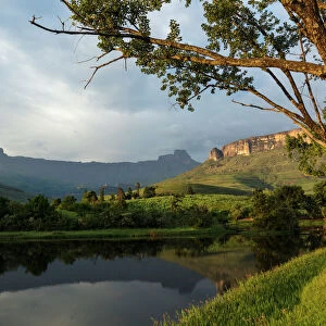 Royal Natal National Park with view of Amphitheatre, uKhahlamba Drakensberg Park, KwaZulu Natal, South Africa