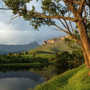 Royal Natal National Park with view of Amphitheatre, uKhahlamba Drakensberg Park, KwaZulu Natal, South Africa