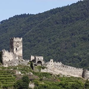 Ruine Hinterhaus castle ruins, Spitz an der Donau, Wachau, Lower Austria, Austria, Europe
