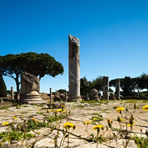 The ruins of the Forum in the Ancient Roman harbour city of Ostia Antica in Rome, Italy
