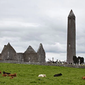 Ruins of Kilmacduagh Monastery, County Galway, Ireland, Europe