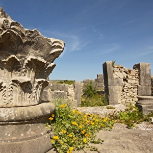 Ruins of Roman city of Volubilis