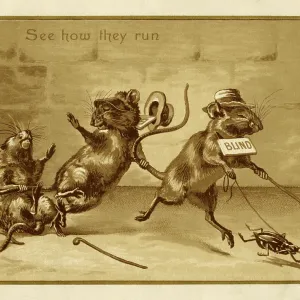 See how they run See how they run