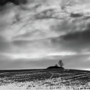 Rural idyllic winter scene with lone bare tree, february fields Rural idyllic winter scene with lone bare tree, february fields