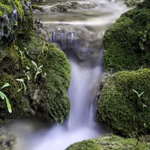 Rushing water with moss green silk effect between Rushing water with moss green silk effect between