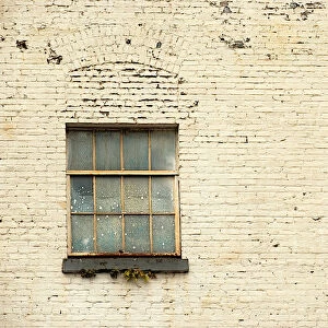 Rusted Window