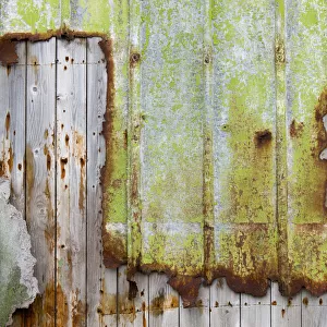Rusty, bright green trim on wood wall, Faroe Islands, Faroe Islands, Denmark