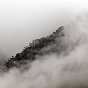 Rwenzori Mountains, Uganda