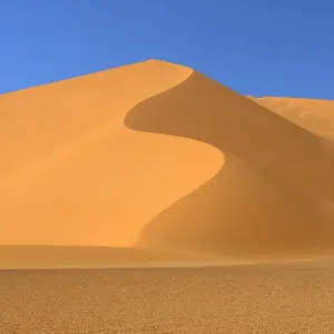 Sif Sand Dune Print Sif Sand Dune Print