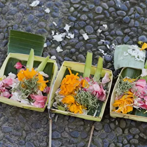Sacrificial offerings, petals in the street, Ubud, Bali, Indonesia
