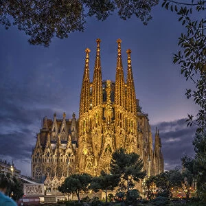 Sagrada familia church, Barcelona