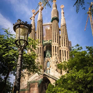 The Sagrada Familia Behind The Trees in Barcelona