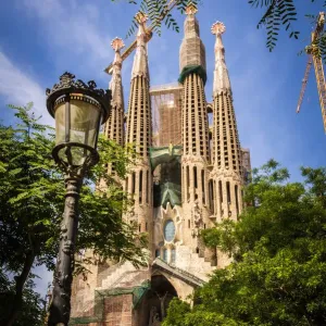Sagrada Familia Print Behind Trees in Barcelona Sagrada Familia Print Behind Trees in Barcelona
