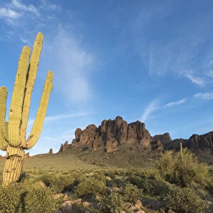 Saguaro (Carnegiea gigantea) in foreground of Lost Dutchman Mine State Park, Superstition Mountains, Arizona, USA