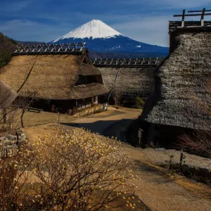 Saiko Iyashino-Sato Nenba with Mt Fuji