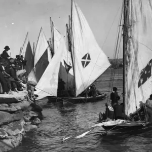 Sailboats Sailboats