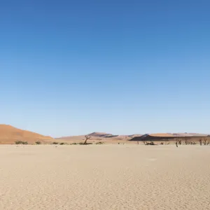 Salt and clay pan, Deadvlei, Sossusvlei, Namib Desert, Namibia