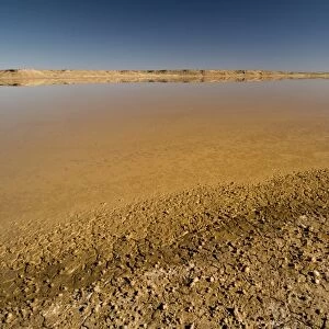Salt flat, Kalahari Desert, Northern Cape, South Africa, Africa