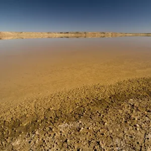 Salt flat, Kalahari Desert, Northern Cape, South Africa, Africa