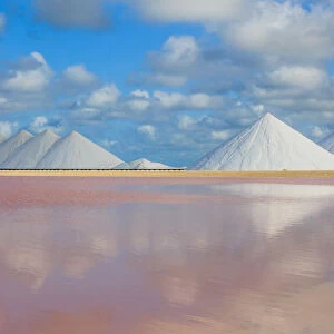 Salt industry on Bonaire (Netherlands Antilles)
