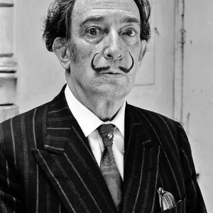 Salvador Dali Salvador Dali