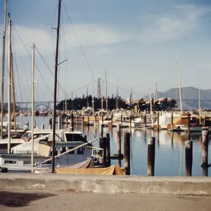 San Francisco Marina San Francisco Marina