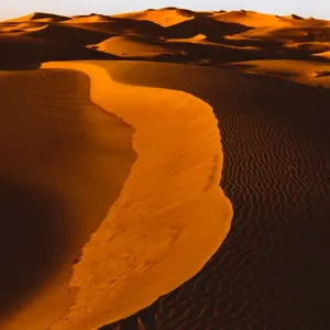 Sand dune, Dubai Sand dune, Dubai