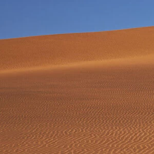 Sand dune formation