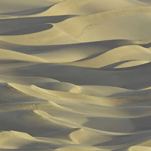 Sand dunes Death Valley National Park, Ca