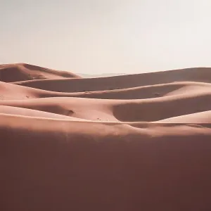 Sand Dunes in the desert Sand Dunes in the desert