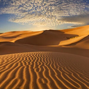 Sand dunes in the desert at sunset