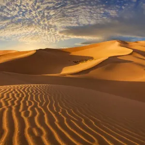 Khongoryn Els Dunes Sunset Print Khongoryn Els Dunes Sunset Print