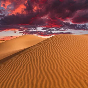 Sand dunes in the desert at sunset