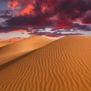 Sand dunes in the desert at sunset