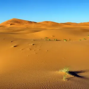 Sand dunes, Erg Chebbi, Morocco, Africa Sand dunes, Erg Chebbi, Morocco, Africa