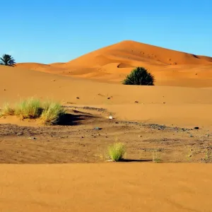 Sand dunes, Erg Chebbi, Morocco, Africa Sand dunes, Erg Chebbi, Morocco, Africa