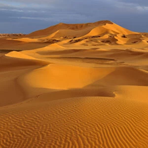 Sand dunes in evening light, Sahara, Erg Tibaradine, Immidir or Mouydir, Sahara, Tamanrasset Province, Algeria