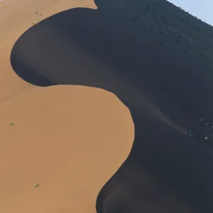 Sand dunes, Sossuvlei, Namib Desert Sand dunes, Sossuvlei, Namib Desert