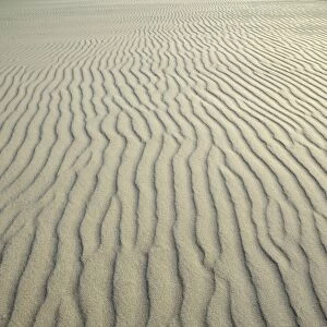 Sand ripples, Kniepsand beach, Amrum Island, Nordfriesland, North Frisia, Schleswig-Holstein, Germany, Europe