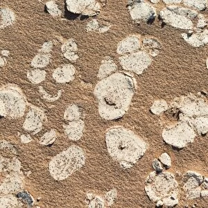 Sand, Sossusvlei, Namib-Naukluft National Park, Namibia