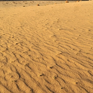 Sandstone rock formation and dunes on Tasset Plateau, Tassili n Ajjer National Park, Unesco World Heritage Site, Wilaya Illizi, Algeria, Sahara desert, North Africa