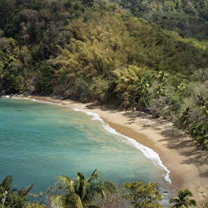 Sandy beach, Parlatuvier Bay, Tobago, Trinidad and Tobago