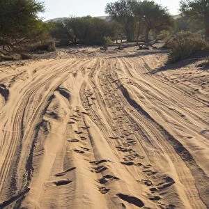 Sandy track, Sossusvlei, Namib Naukluft Park, Namibia