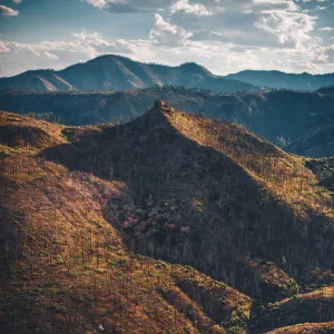 Santa Fe National Forest