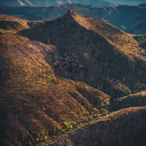 Santa Fe National Forest Horn Mesa Print Santa Fe National Forest Horn Mesa Print