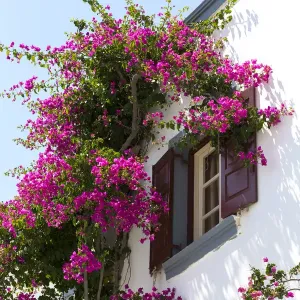Santorini house Santorini house